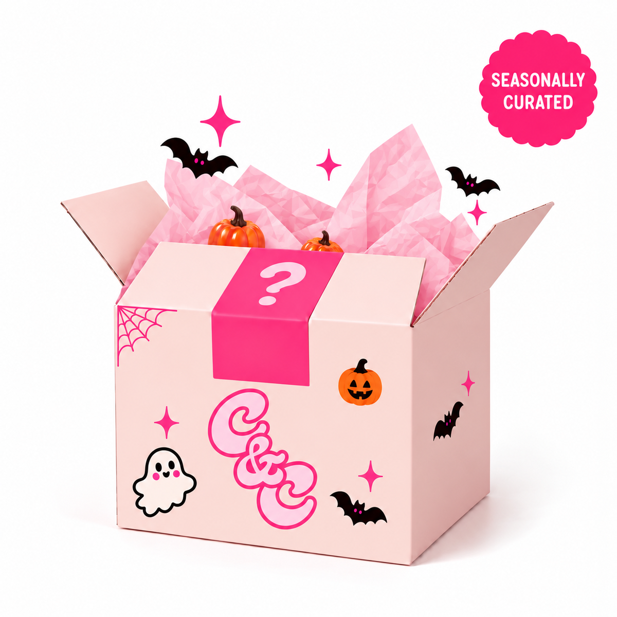 Charmie Mystery Box